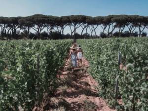 wine-tour